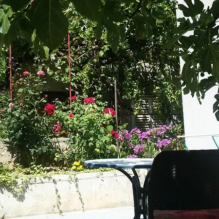 Anita Lägenhet Vodice